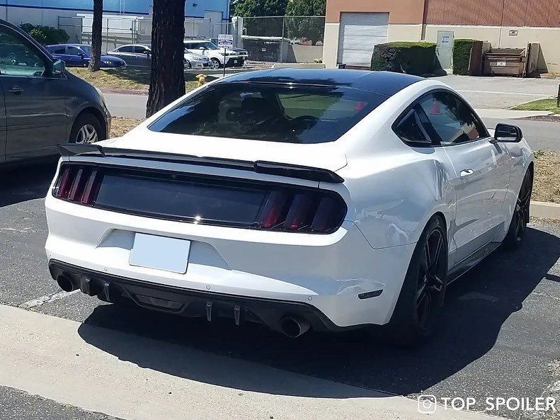 Спойлер багажника Ford Mustang 2015-2021 (ABS пластик) Форд Мустанг FM-1 фото