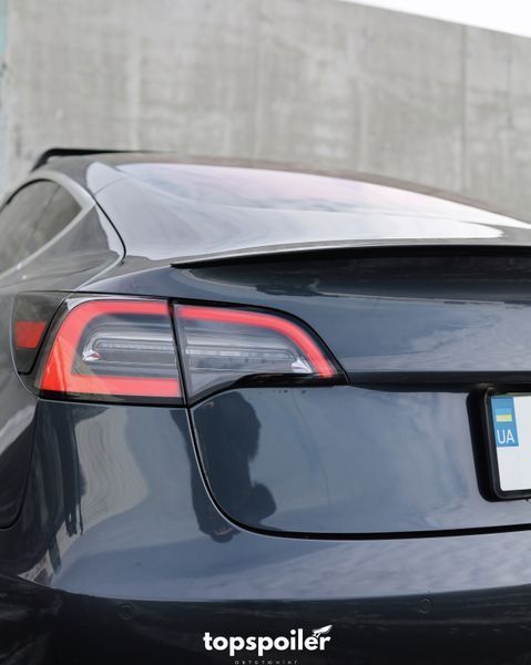 Спойлер багажника Tesla Model 3 2017-2022 (ABS пластик) сабля Тесла модел 3 (чорний глянець) MOD-3 фото