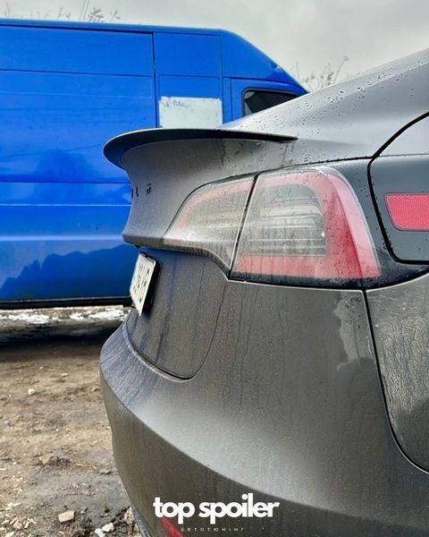 Спойлер багажника Tesla Model 3 2017-2022 (ABS пластик) сабля Тесла модел 3 (чорний глянець) MOD-3 фото