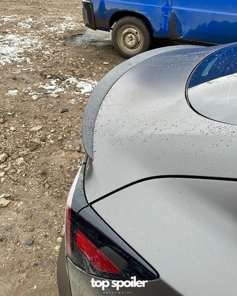 Спойлер багажника Tesla Model 3 2017-2022 (ABS пластик) сабля Тесла модел 3 (чорний глянець) MOD-3 фото