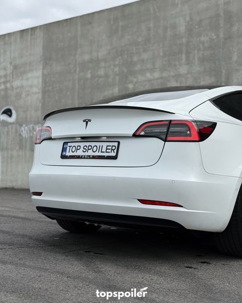 Спойлер багажника Tesla Model 3 2017-2022 (ABS пластик) сабля Тесла модел 3 (чорний глянець) MOD-3 фото