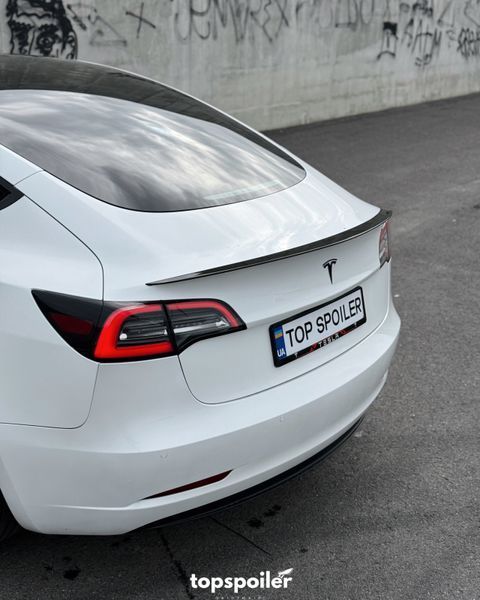 Спойлер багажника Tesla Model 3 2017-2022 (ABS пластик) сабля Тесла модел 3 (чорний глянець) MOD-3 фото