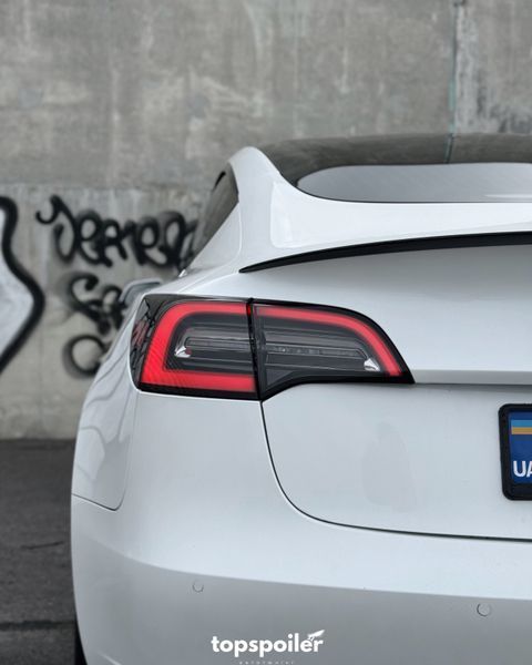 Спойлер багажника Tesla Model 3 2017-2022 (ABS пластик) сабля Тесла модел 3 (чорний глянець) MOD-3 фото