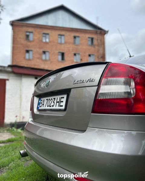 Спойлер багажника Skoda Octavia A5 2006-2014 (ABS пластик) сабля Шкода Октавія А5 (чорний глянець) OC-A5 фото
